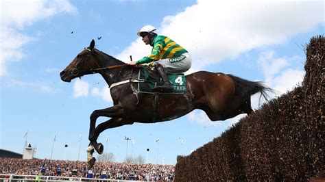 The 7 best Aintree tips for Friday’s Grand National .
